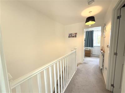 Picture 14